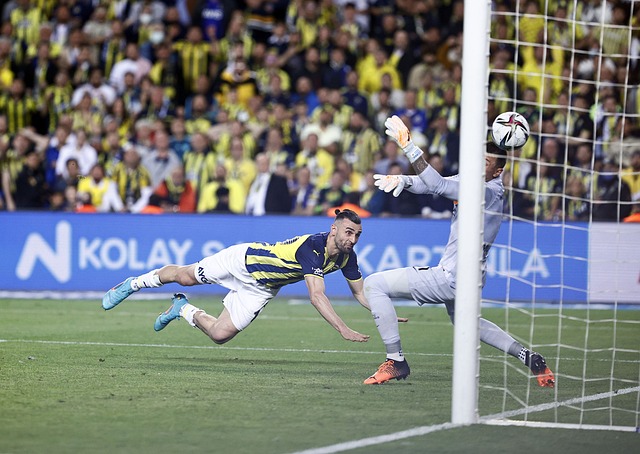 也是比赛获 也是比赛获