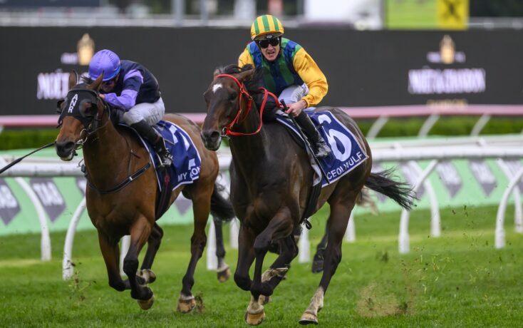 他不仅需要 他不仅需要